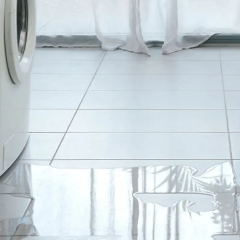 Appliance Leak Cleanup in Highwood, IL