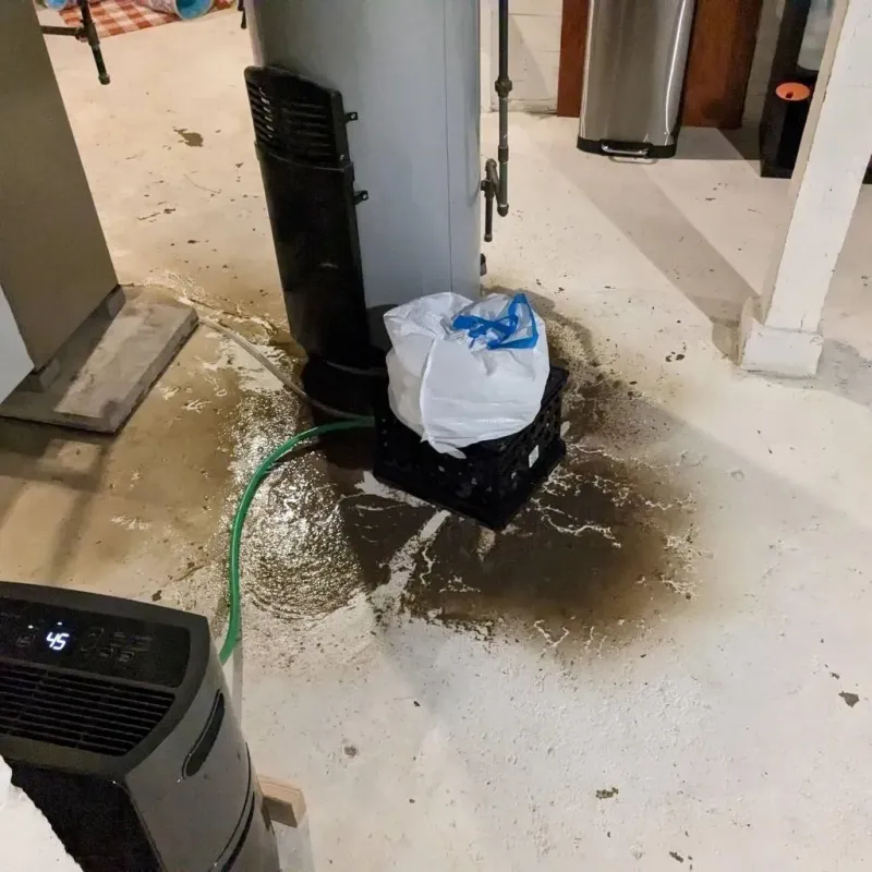 Sewage Backup Cleanup Service in Highwood, IL